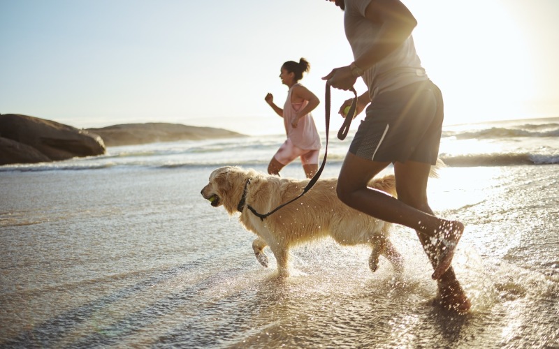 a couple running on a beach with a dog