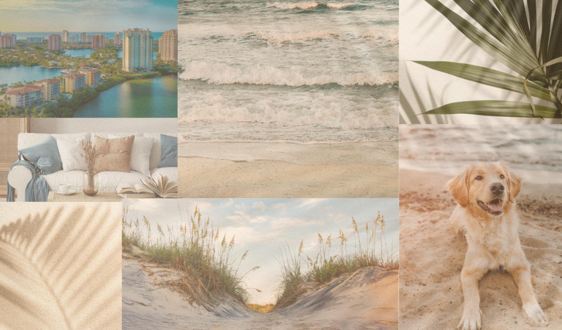 a photo collage