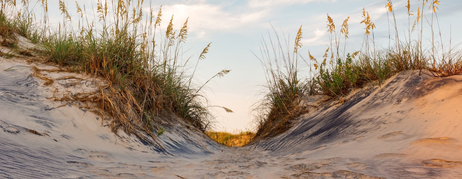 a path on a beach